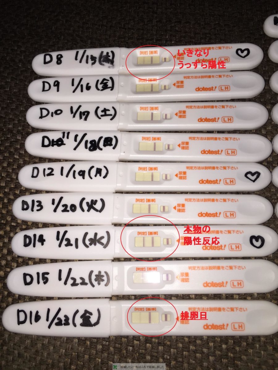 フライング検査 排卵検査薬