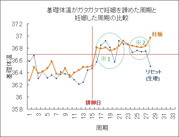 高温期6日目 妊娠した周期