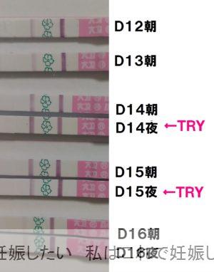 タイミング 排卵検査薬 排卵検査薬の陽性期間と妊娠しやすいタイミングのとり方は？無排卵についても解説！