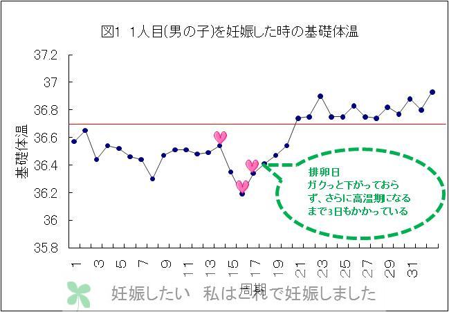 体温 日 排卵 基礎 グラフ