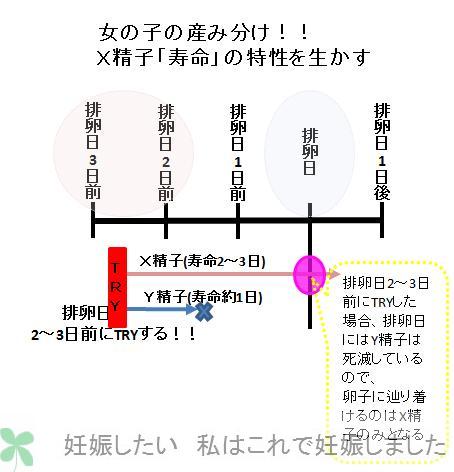 妊娠 3 排卵 日 日前