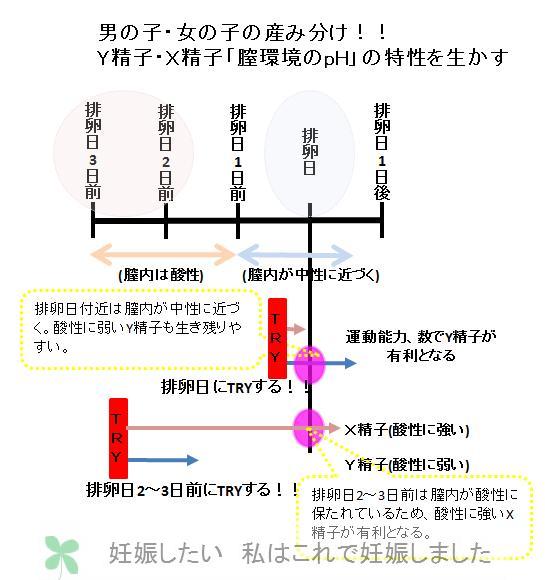 妊娠 3 排卵 日 日前