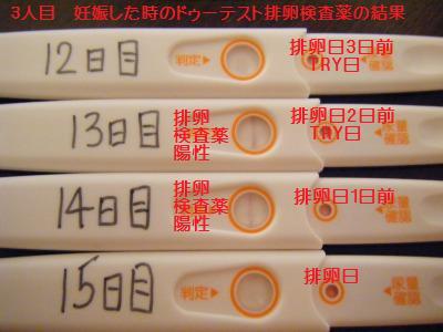 日 産み 分け 計算 排卵