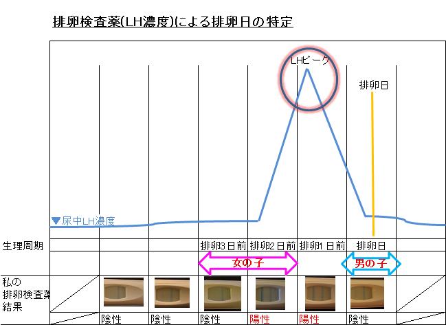 排卵日 予測 産み分け 排卵検査薬 産み分け