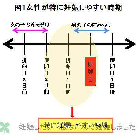 排卵 日 2 日前 妊娠 確率