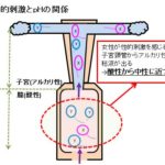 TRYにかける時間